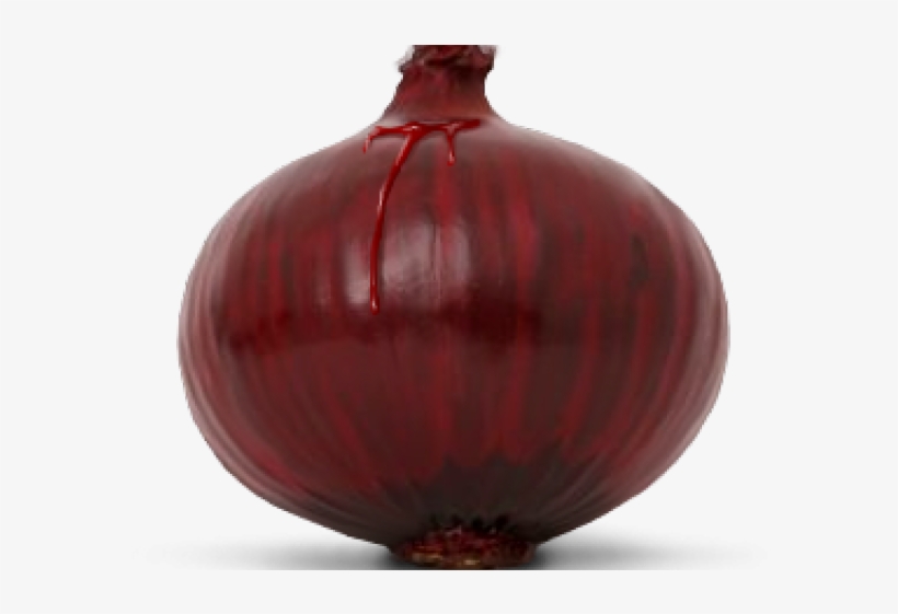 Onion Png Transparent Images - Vase, transparent png #9068411
