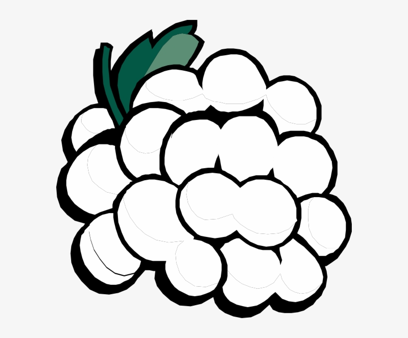 Grapes - Grapes Clip Art, transparent png #9068414