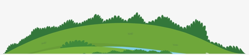 Grass, transparent png #9069086