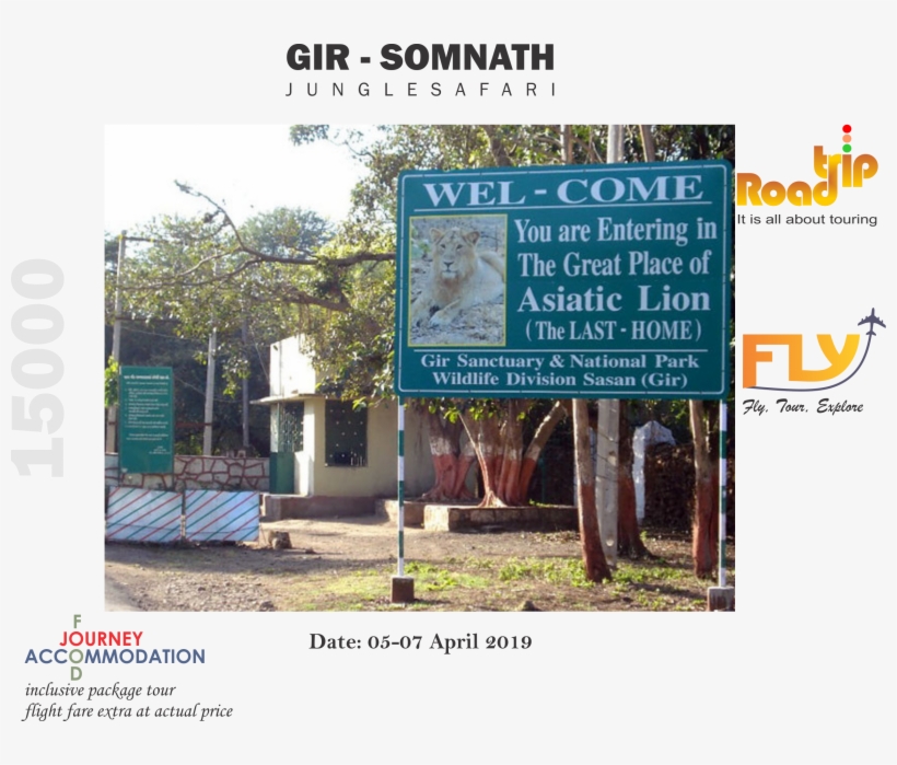 Gir Somnath Lion Safari Rajkot Junagadh - Tree, transparent png #9069157