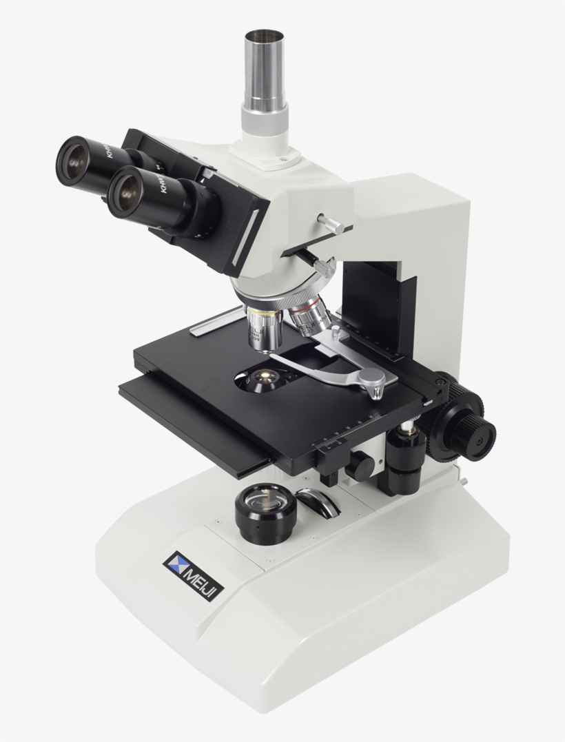 Meiji Ml5970 Trinocular Phase Contrast Microscope - Phase Contrast Compound Microscope, transparent png #9069360