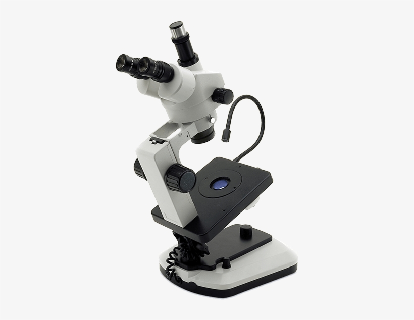 Stereo Microscope Ksw8000 Gemmology - Microscopio De Campo Oscuro, transparent png #9069518