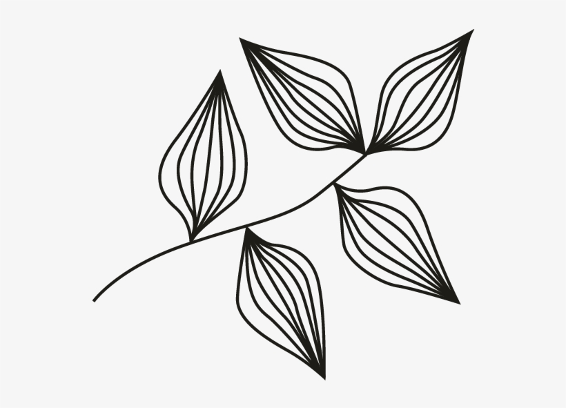 Smock Sprig Motif - Sketch, transparent png #9069899