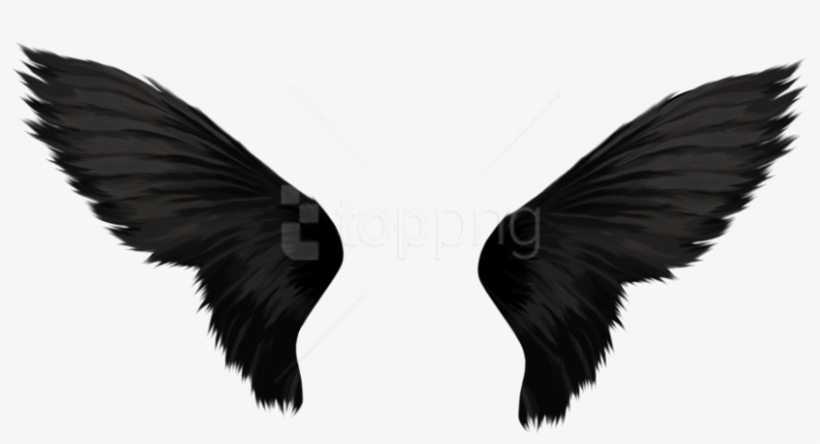 Free Png Download Black Wings Png Images Background - Transparent Background Wings Png, transparent png #9070041