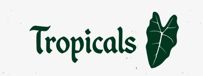 Trops - Calligraphy, transparent png #9070954