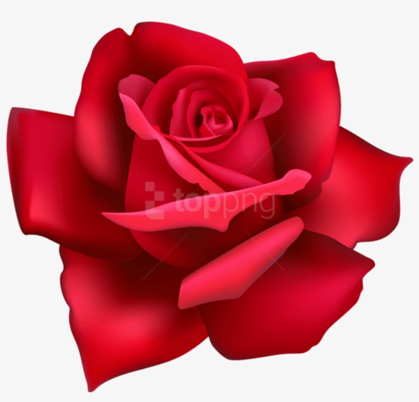 Free Png Rose Flower Red Png Images Transparent - Flower Pink Rose Png, transparent png #9071746