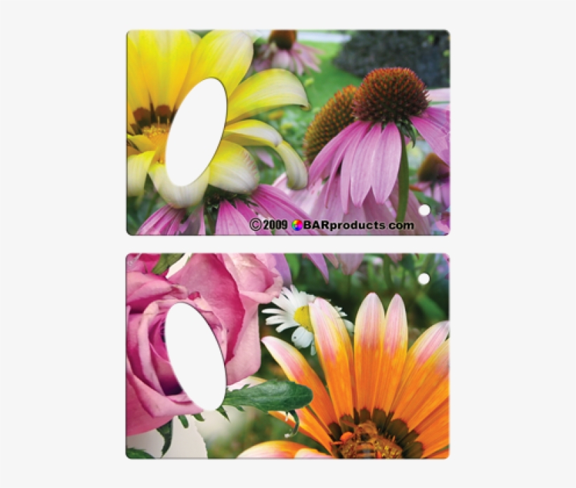 African Daisy, transparent png #9071899