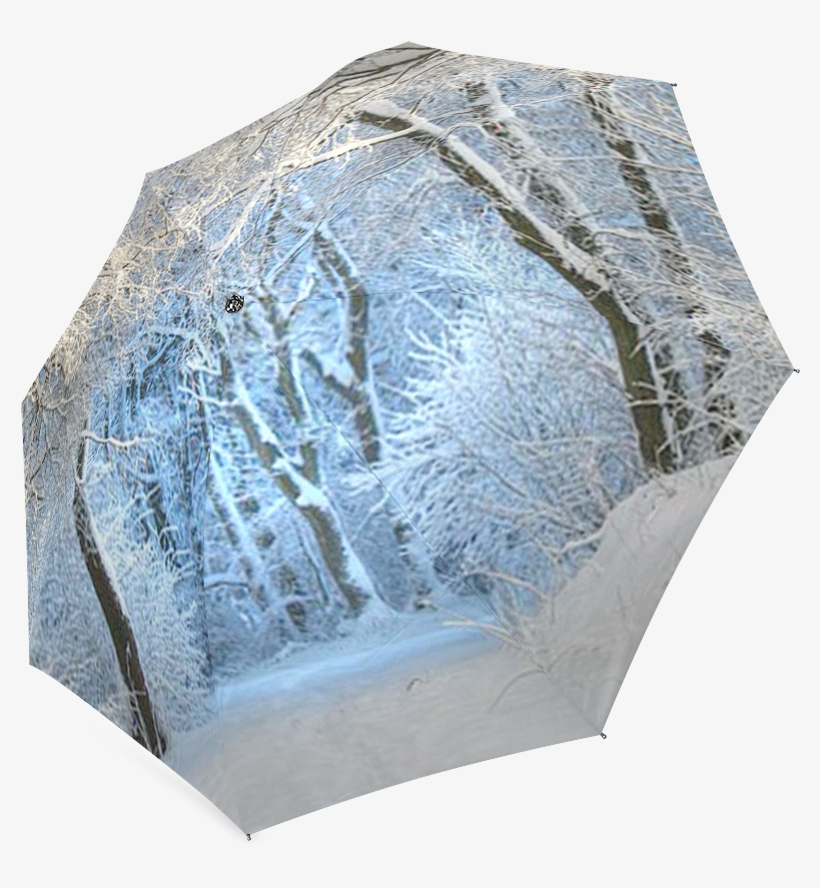 Umbrella, transparent png #9072325