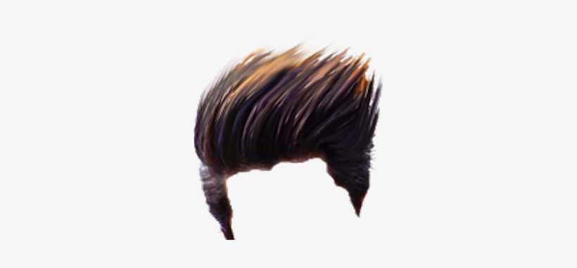 Png Hair Full Hd, transparent png #9072904