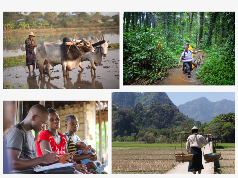 Essentials Montage - Field, transparent png #9075154