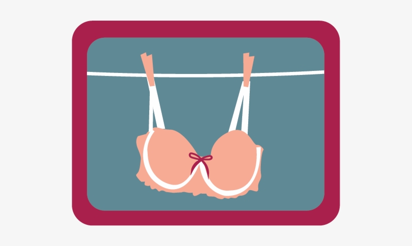 Fruit, transparent png #9075439