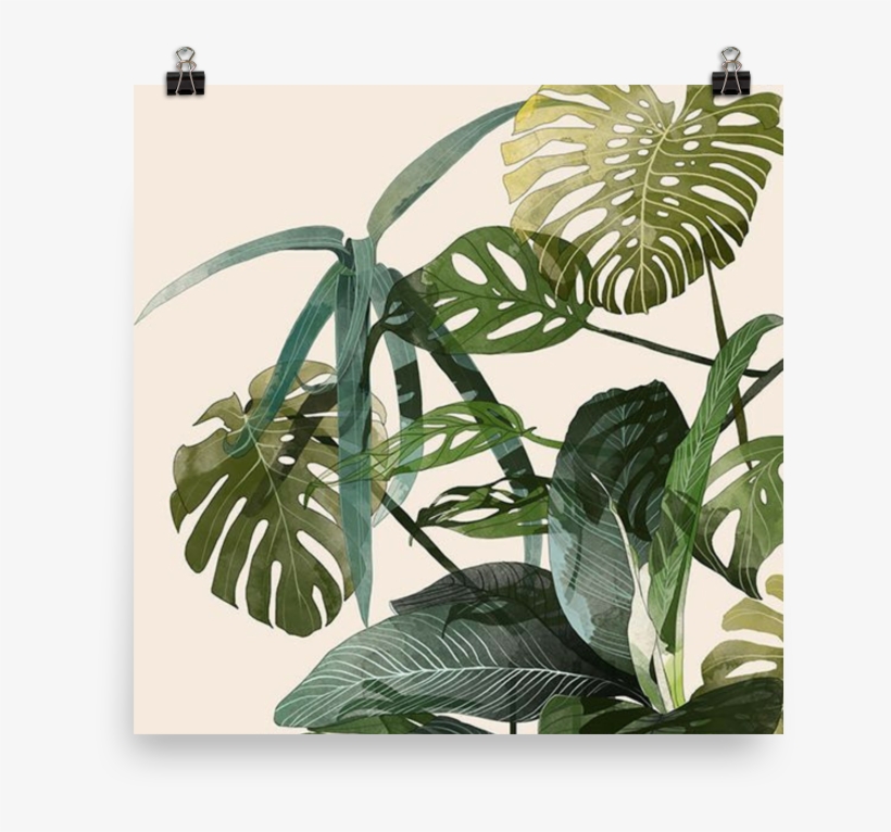 Lucy Poster - Botanic Agata Wierzbicka, transparent png #9075481