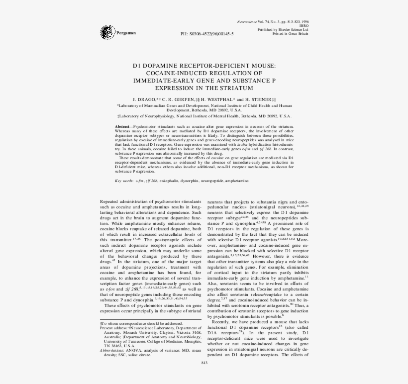Pdf - Document, transparent png #9076118