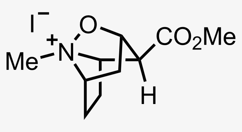 Intermediate Structure - National College For Teaching And Leadership Logo, transparent png #9076219