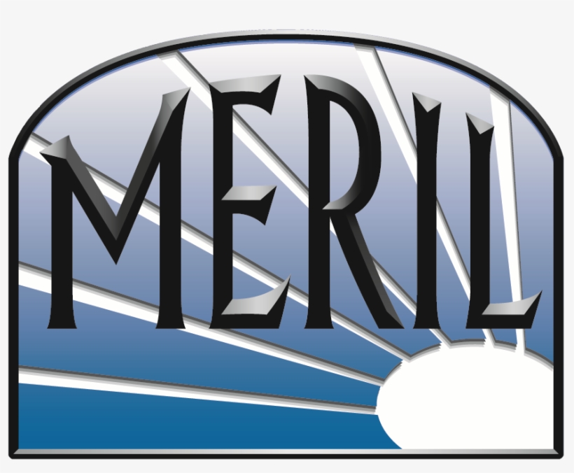 Helping People With Disabilities Live Independently - Meril, transparent png #9077174