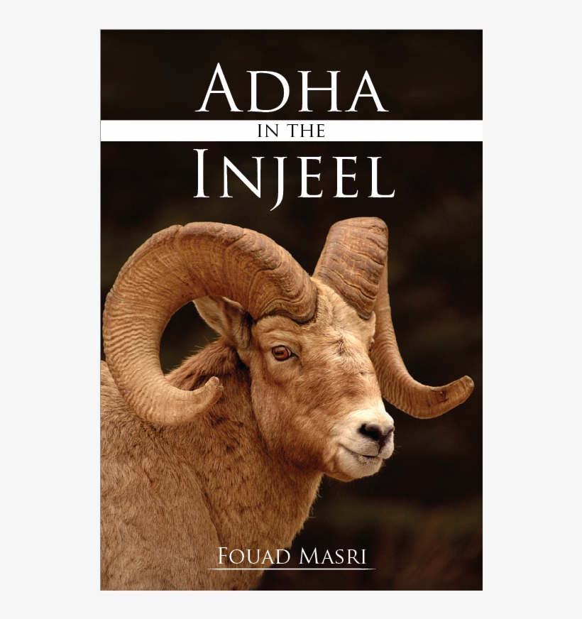 Adha In The Injeel, transparent png #9078524