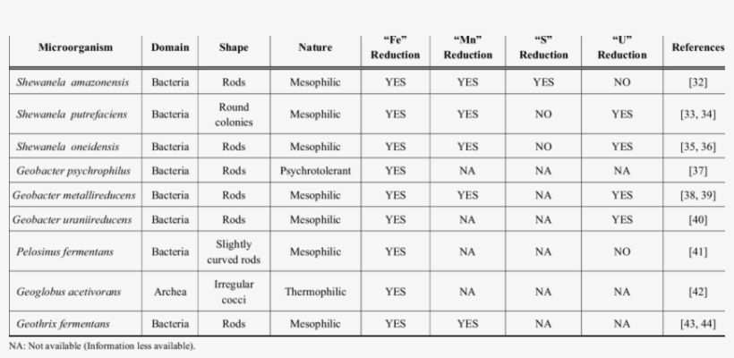 List Of Some Selected Mineral Reducers Employed For - Patient List, transparent png #9078603