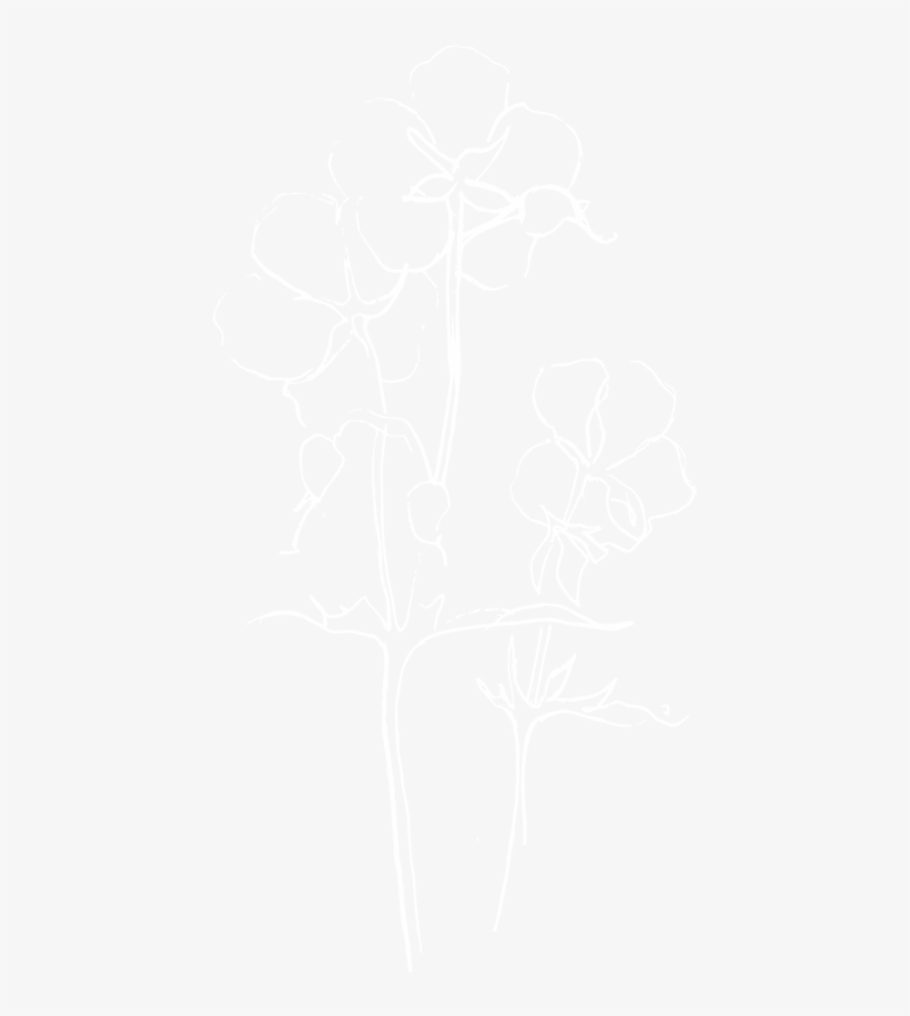 Cambridge Flower Arranging Workshop - Spotify White Logo Png, transparent png #9079127