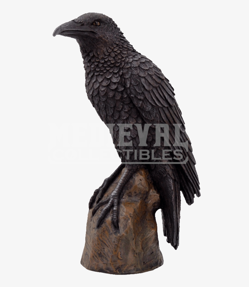 Figura Cuervo, transparent png #9080246