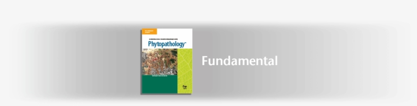 Fundamentals Of Logic Design, transparent png #9080718