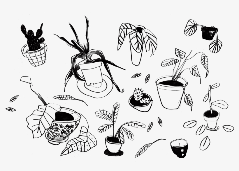 Wolves Wolves Wolves Wolves Wolves - Cartoon, transparent png #9080761