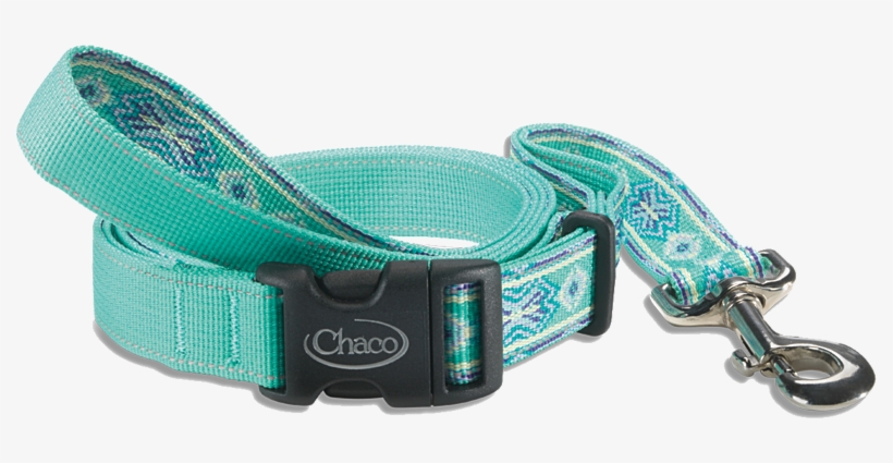 Chaco Dog Collar - Belt, transparent png #9082097