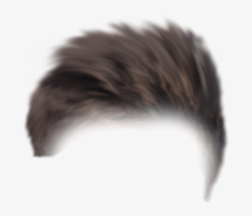 Cb Hair Png Picsart 3d Creative Editing Background - Porcupine, transparent png #9082837