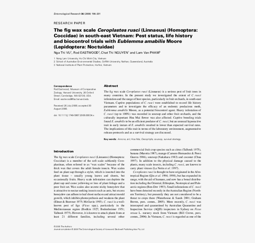 The Fig Wax Scale Ceroplastes Rusci (homoptera - Document, transparent png #9082989