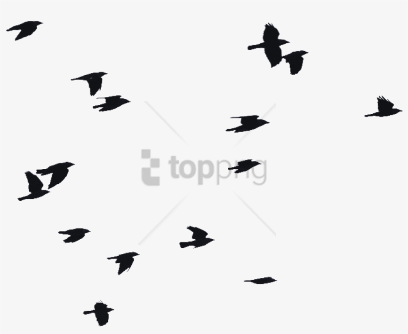 Free Png Birds Flying Silhouette Png Image With Transparent - Transparent Bird Fly Png, transparent png #9082992