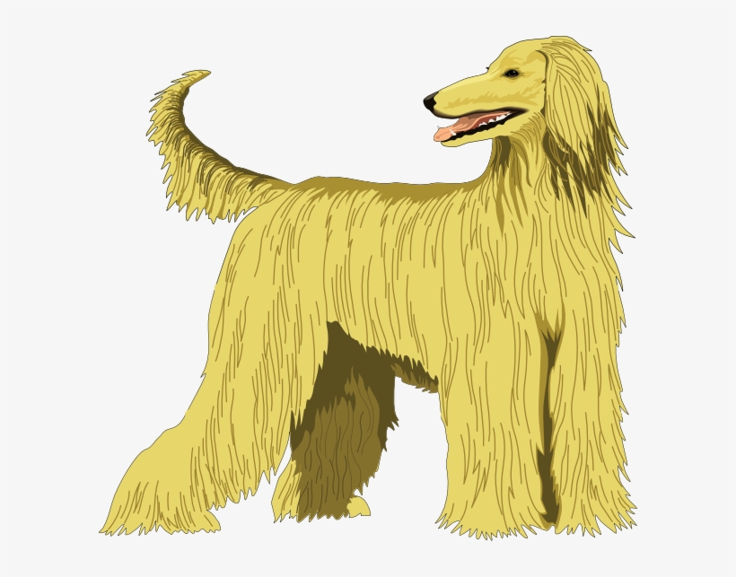Hound Clipart Angry - Afghan Hound Clipart, transparent png #9083260