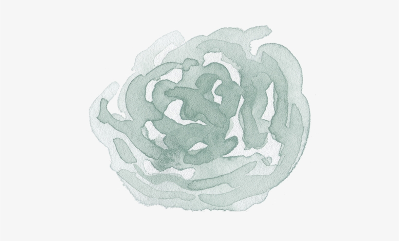 Sageflowerpng - Illustration, transparent png #9083440