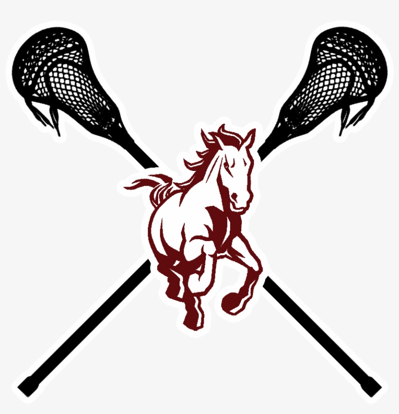 Our Mission - Lacrosse Stick Transparent Background, transparent png #9083735