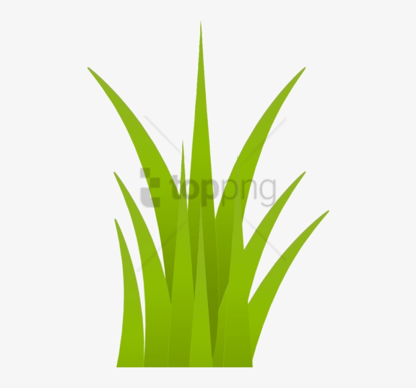 Free Png Download Grass Png Images Background Png Images, transparent png #9083789