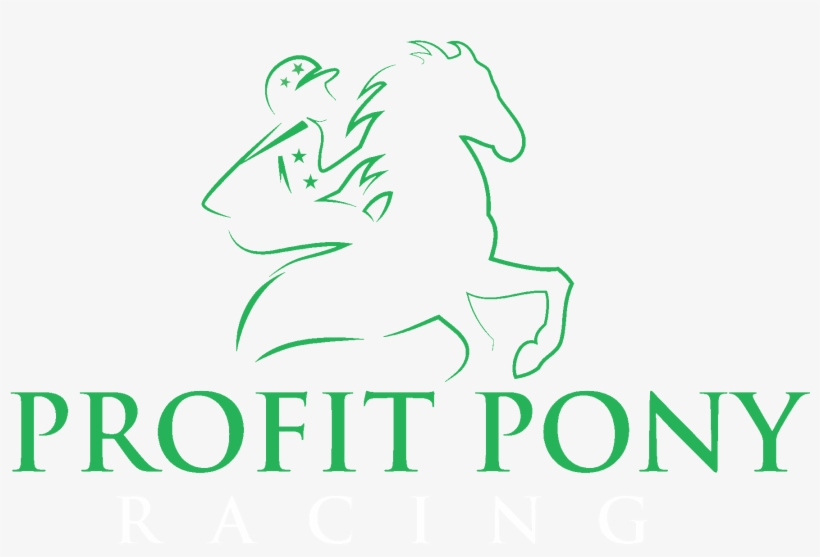 Own A Racehorse For £1 Per Day - Ginza Project, transparent png #9085111