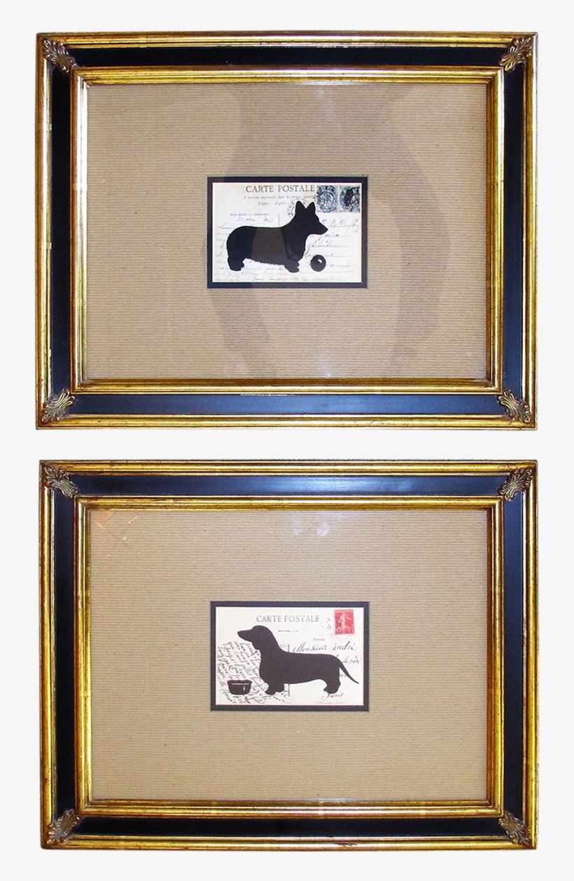 Picture Frame, transparent png #9085948