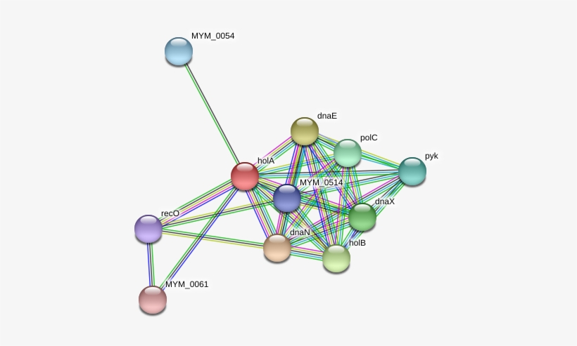 Circle, transparent png #9086720