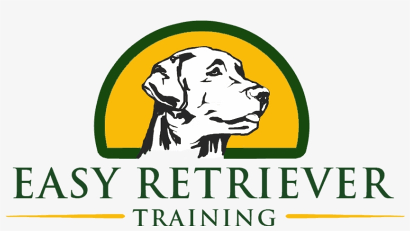 Easy Retriever Training - Sisters Of Charity Of Leavenworth, transparent png #9086772
