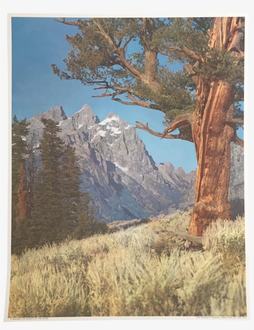 1796 X 2251 4 - Summit, transparent png #9087143