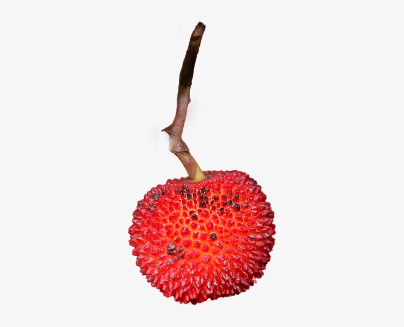 Strawberry, Isolated, Png, Fruit, Eat, Nature, Close - Berry, transparent png #9087390