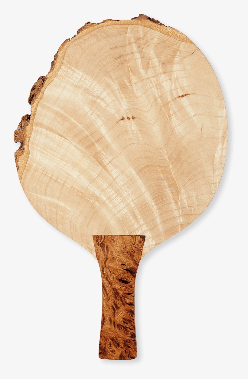 Sebastian Cox - Table Tennis Racket, transparent png #9087526