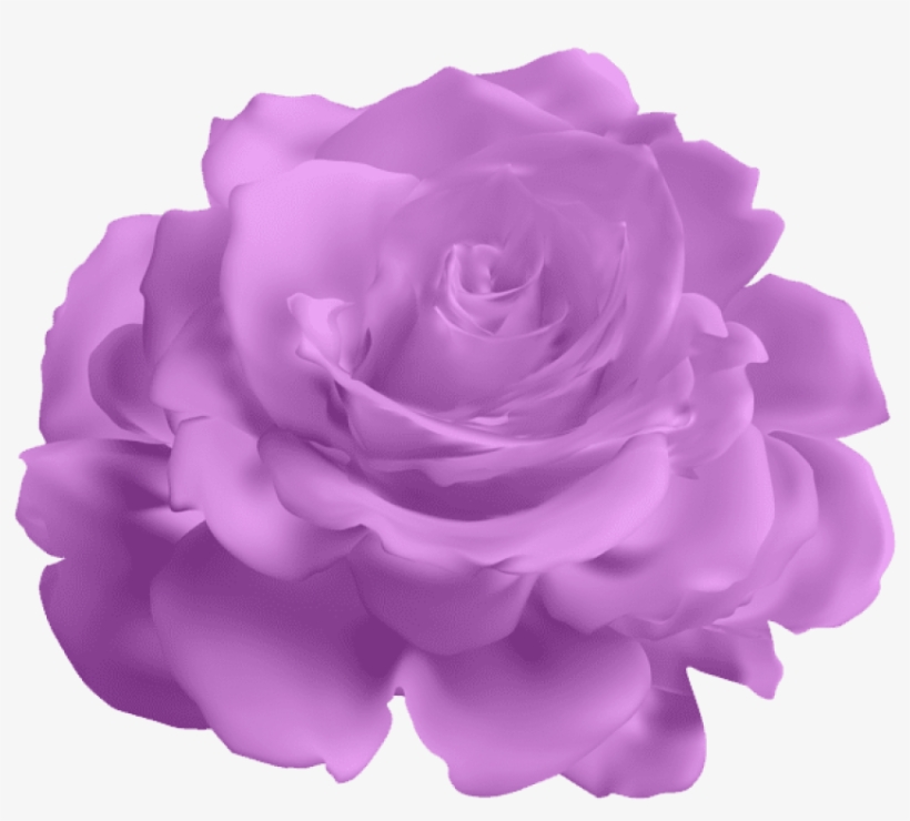 Download Png Images Toppng - Transparent Flowers Background Blue, transparent png #9088147