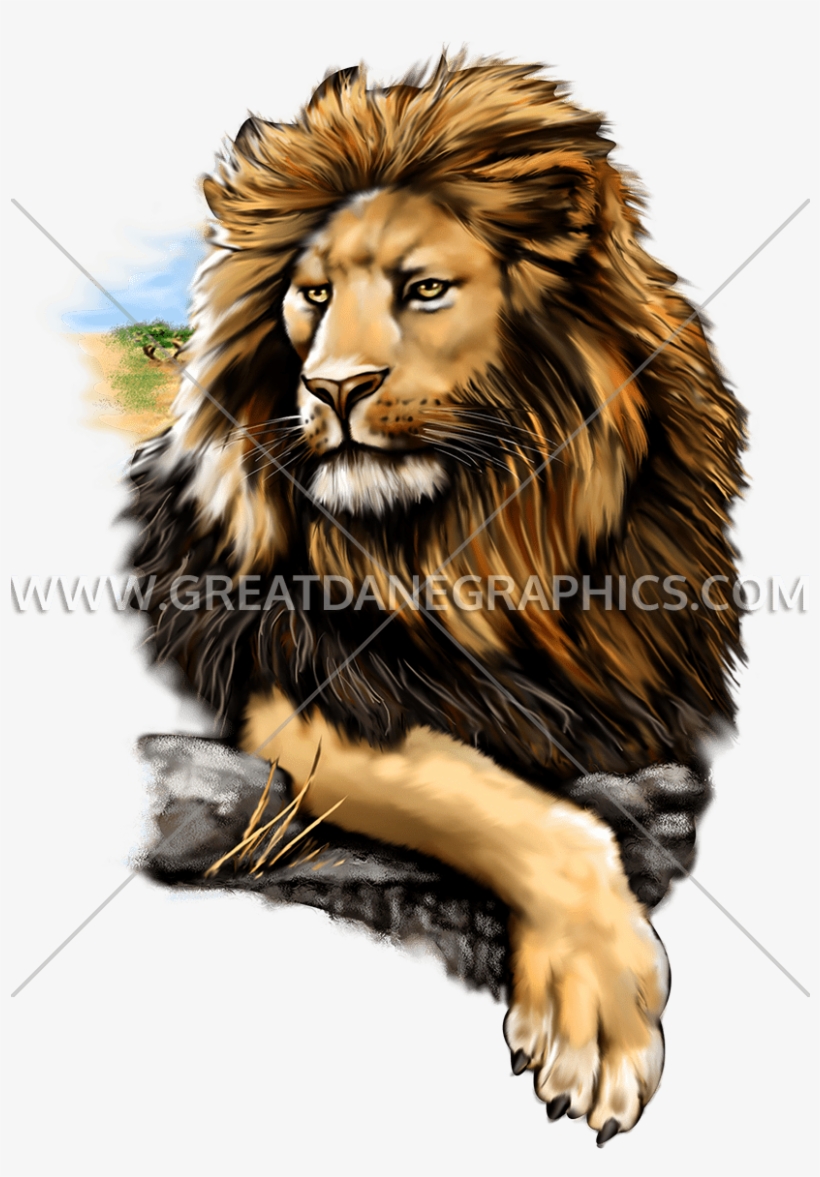 Proud Lion Png - - Masai Lion, transparent png #9088410