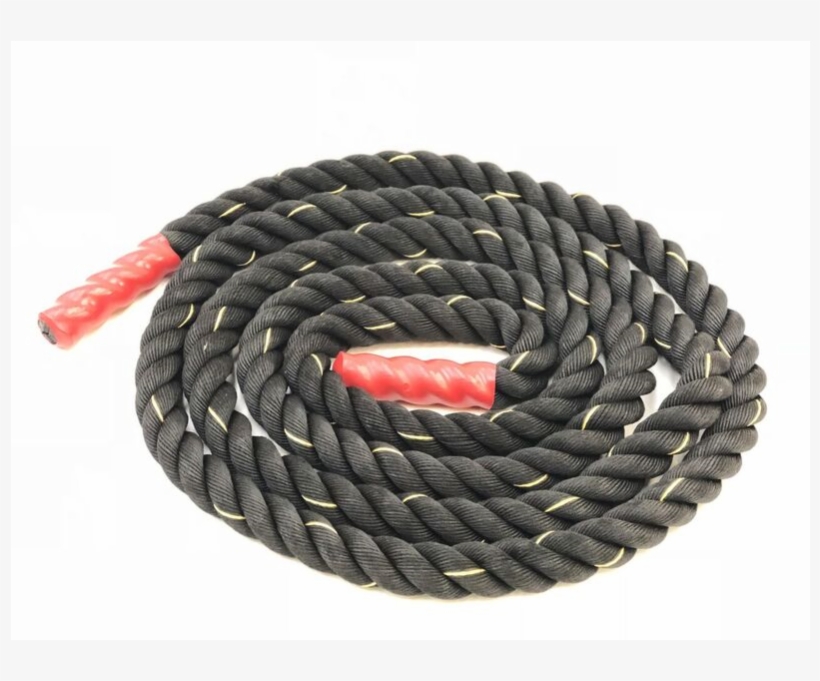 Networking Cables, transparent png #9088844