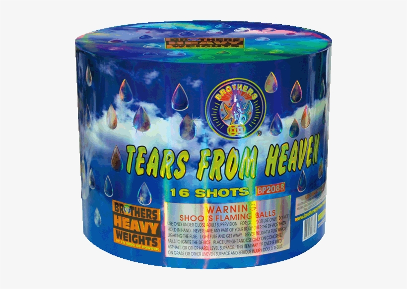 Carpenter Ant, transparent png #9090702