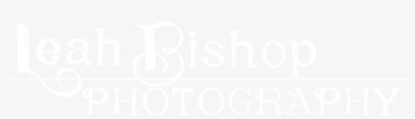 Contact Me Below Or Call 781-6232 To Schedule, transparent png #9090940