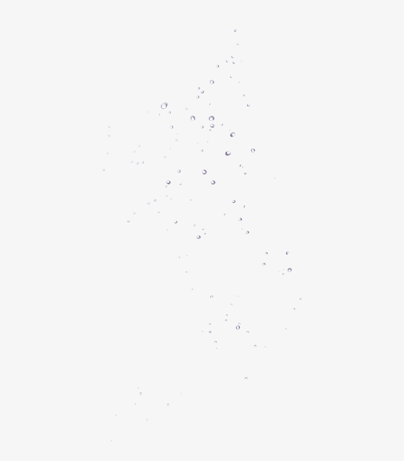 Bird, transparent png #9091318