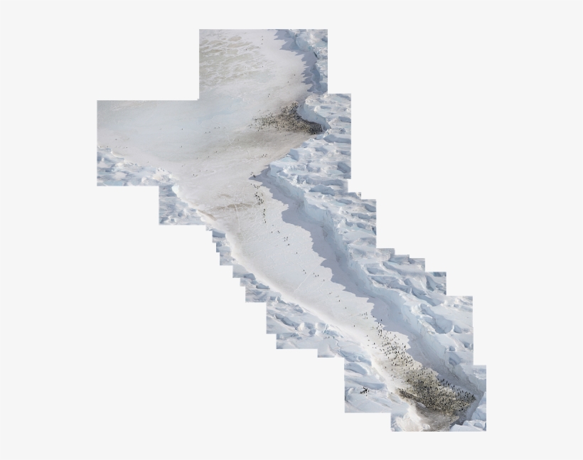 Snow, transparent png #9091882