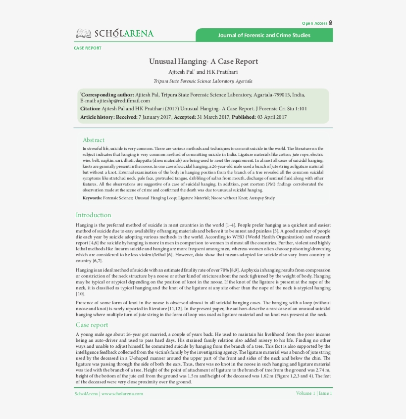 Pdf - Goose Tower In Vordingborg, Zealand, transparent png #9092051