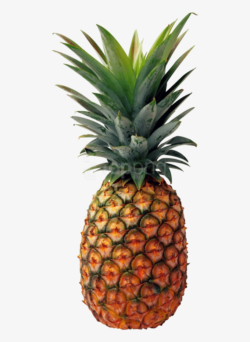 Free Png Pineapple Png Images Transparent - Pineapple Png, transparent png #9092518
