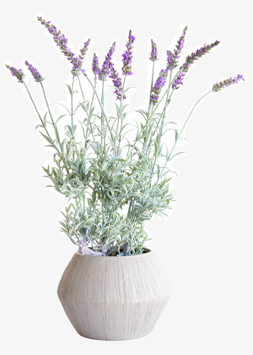 Faux French Lavender Drop-in - Flowerpot, transparent png #9092524